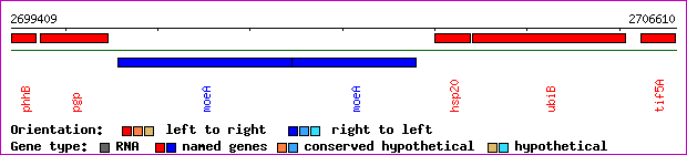 gene map