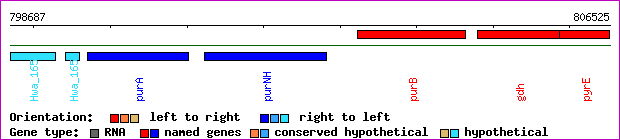 gene map
