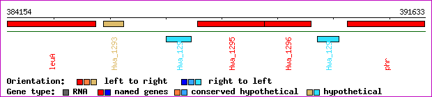 gene map