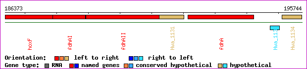 gene map