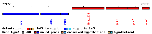 gene map