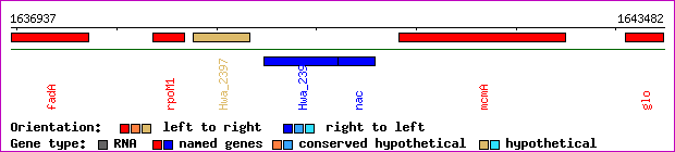 gene map