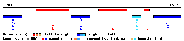 gene map