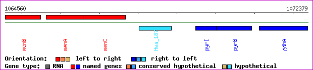 gene map