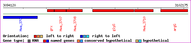 gene map