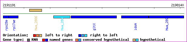 gene map