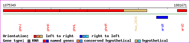 gene map