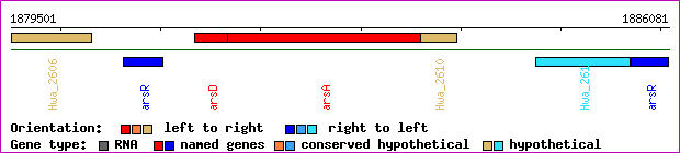 gene map