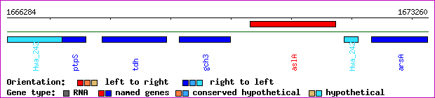gene map