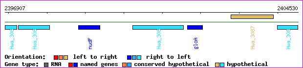 gene map