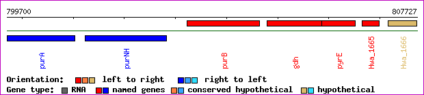 gene map