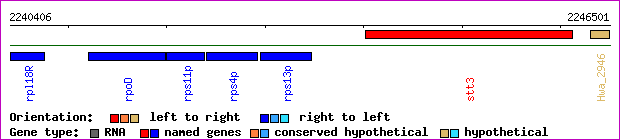 gene map