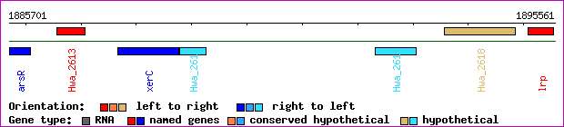 gene map