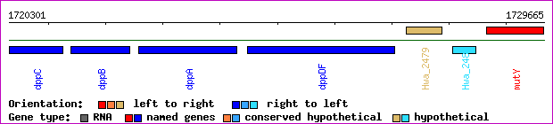 gene map