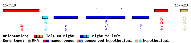 gene map