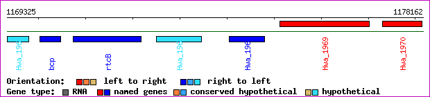 gene map