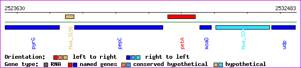 gene map