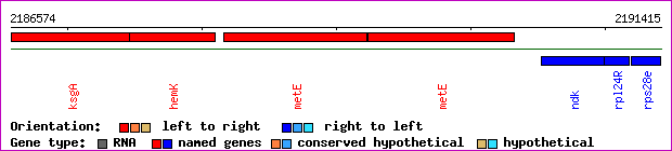gene map