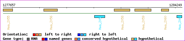 gene map