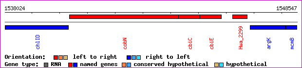 gene map