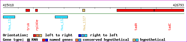 gene map