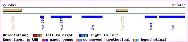 gene map