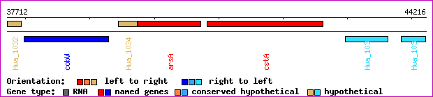gene map