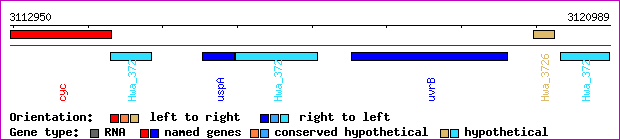 gene map