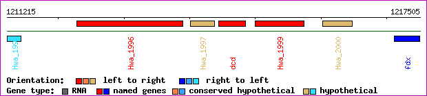 gene map