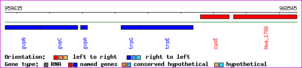 gene map