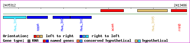 gene map