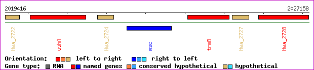 gene map