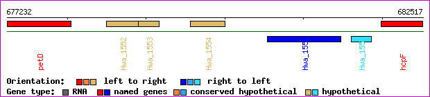 gene map