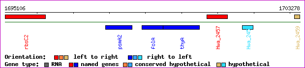 gene map