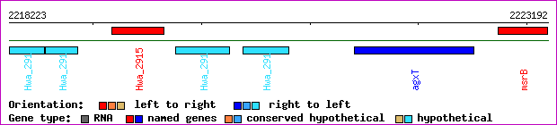 gene map