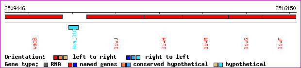 gene map