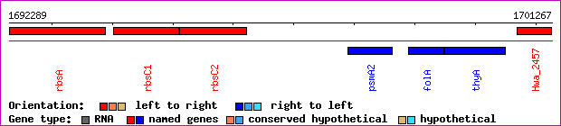 gene map