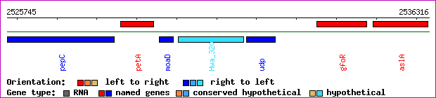 gene map