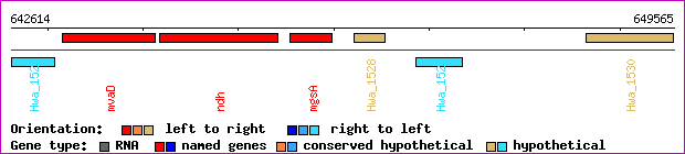 gene map