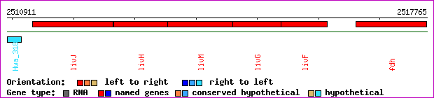 gene map