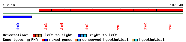 gene map
