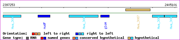 gene map