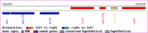 gene map