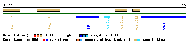 gene map