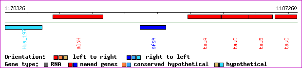 gene map