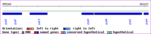 gene map