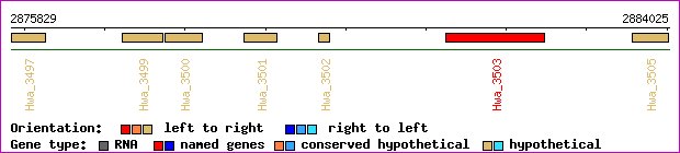 gene map