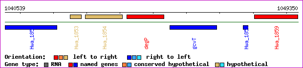 gene map