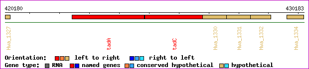 gene map