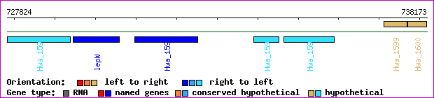 gene map